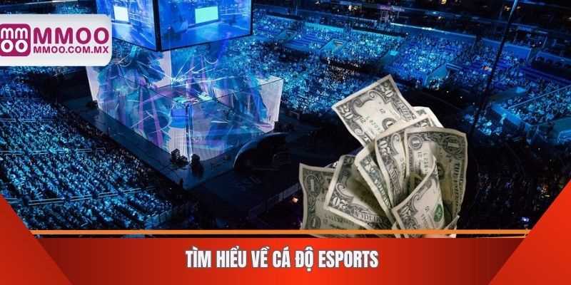 Tìm hiểu về cá độ Esports